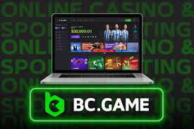 Maximize Your Wins with BC.Game Bonuses